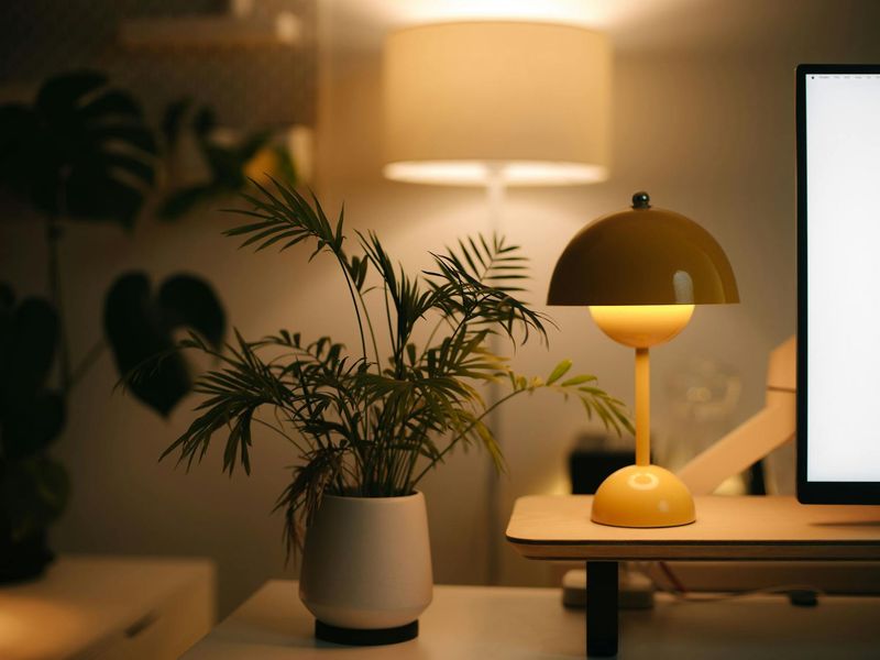 Minimalist desk setup with green plant and soft lighting